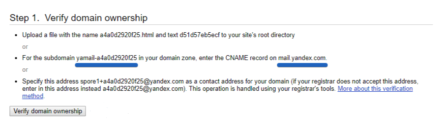 Domain control yandex