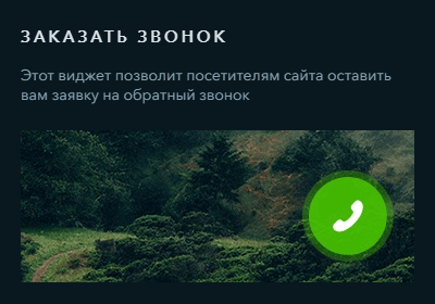 Обратный звонок